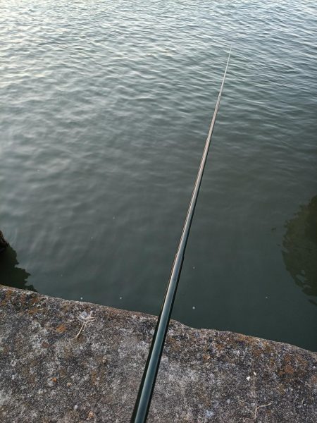 2023/04/09 大阪市内河川 稚鮎釣り