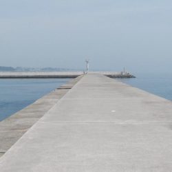 キスの活性が上がりません