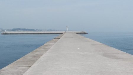 キスの活性が上がりません