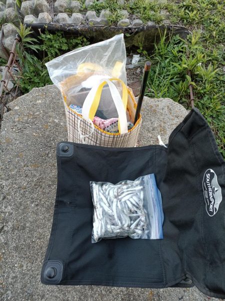 2023/04/22 大阪市内河川 稚鮎釣り