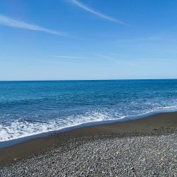 ヒラメバラシからのデカアタリの正体は…