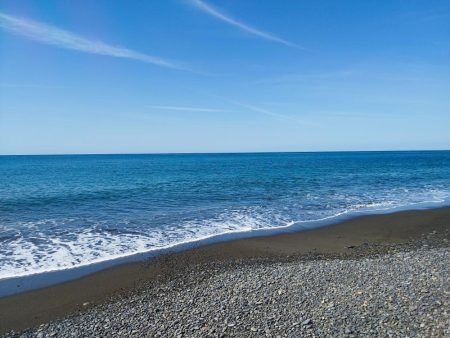 ヒラメバラシからのデカアタリの正体は…