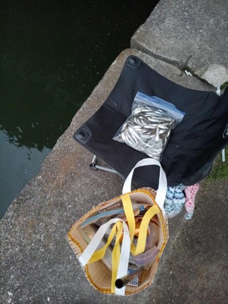 2023/04/23 大阪市内河川 稚鮎釣り