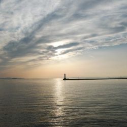 播磨新島のキス釣査