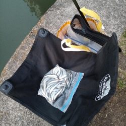 2023/04/27 大阪市内河川 稚鮎釣り