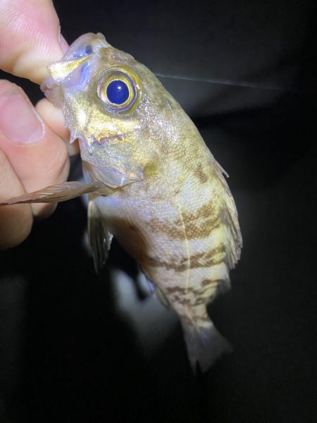 あの手この手で