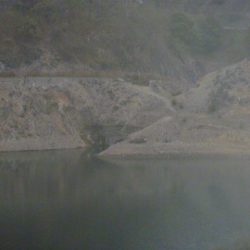 桜散る春のバス