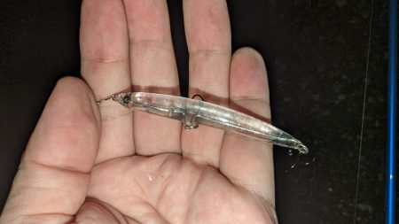 自作プラグで大型サバ、アジ