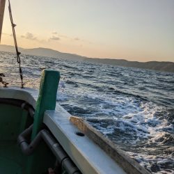 クログチ釣り（泉州丸）