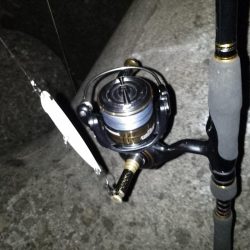 活性は上向き♪