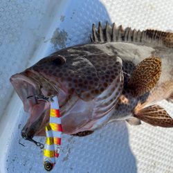 【新製品】ジャックアイフリフリバイブのポテンシャル