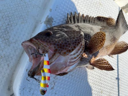 【新製品】ジャックアイフリフリバイブのポテンシャル