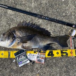 DAY2 南港のつり