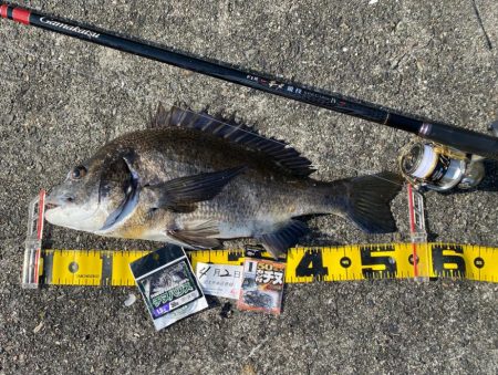 DAY2 南港のつり