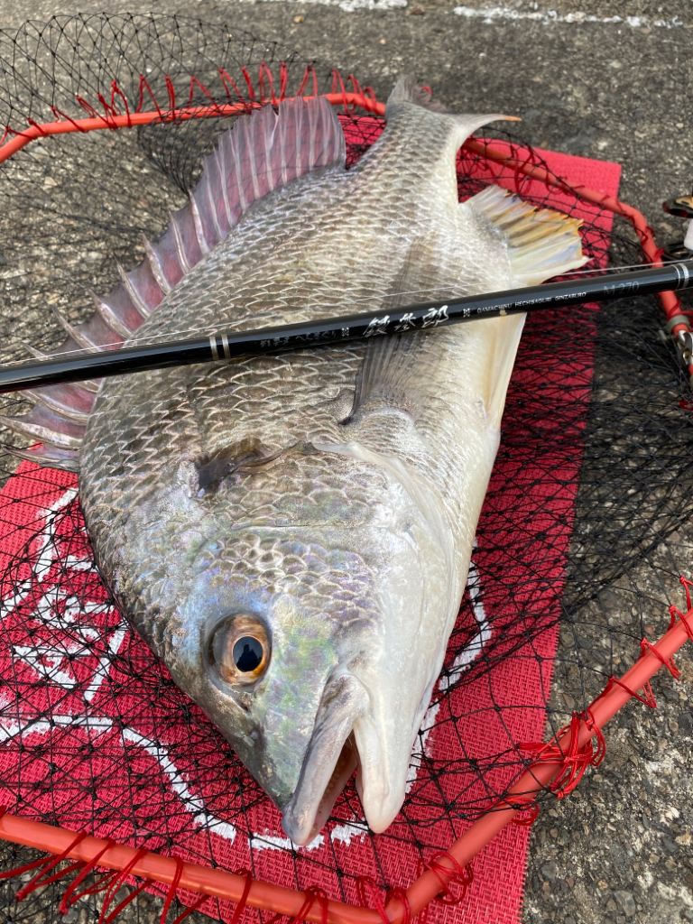 ヘチってきました