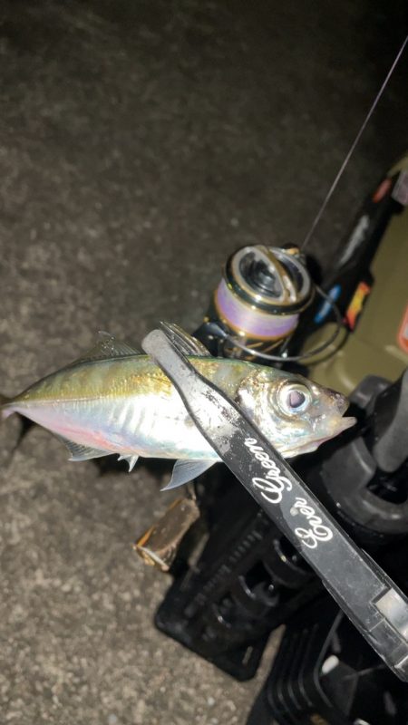 今日もライトゲーム！