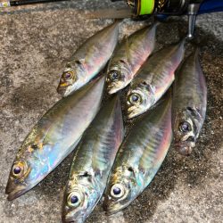 心のシーズンオフ