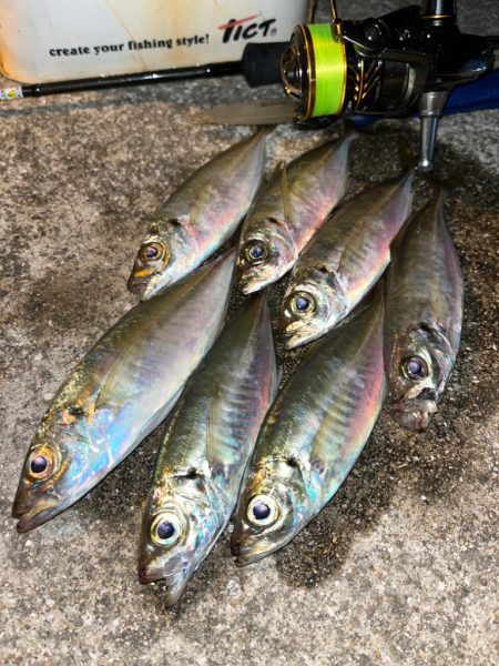 心のシーズンオフ