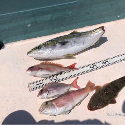 4/9 伊島沖ジギング&タイラバ