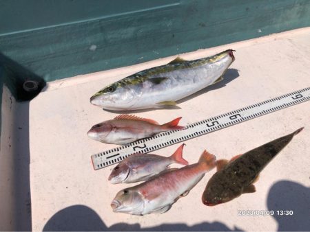 4/9 伊島沖ジギング&タイラバ