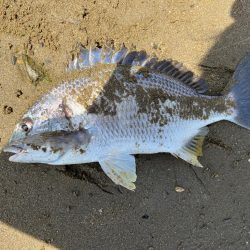 トップからボトムへ…