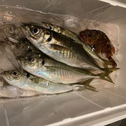 ボートアジング🌊🛥