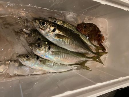 ボートアジング🌊🛥