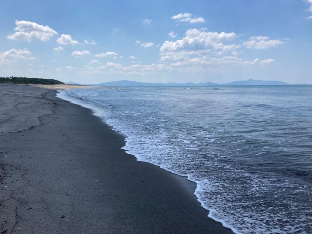 春のマゴチング