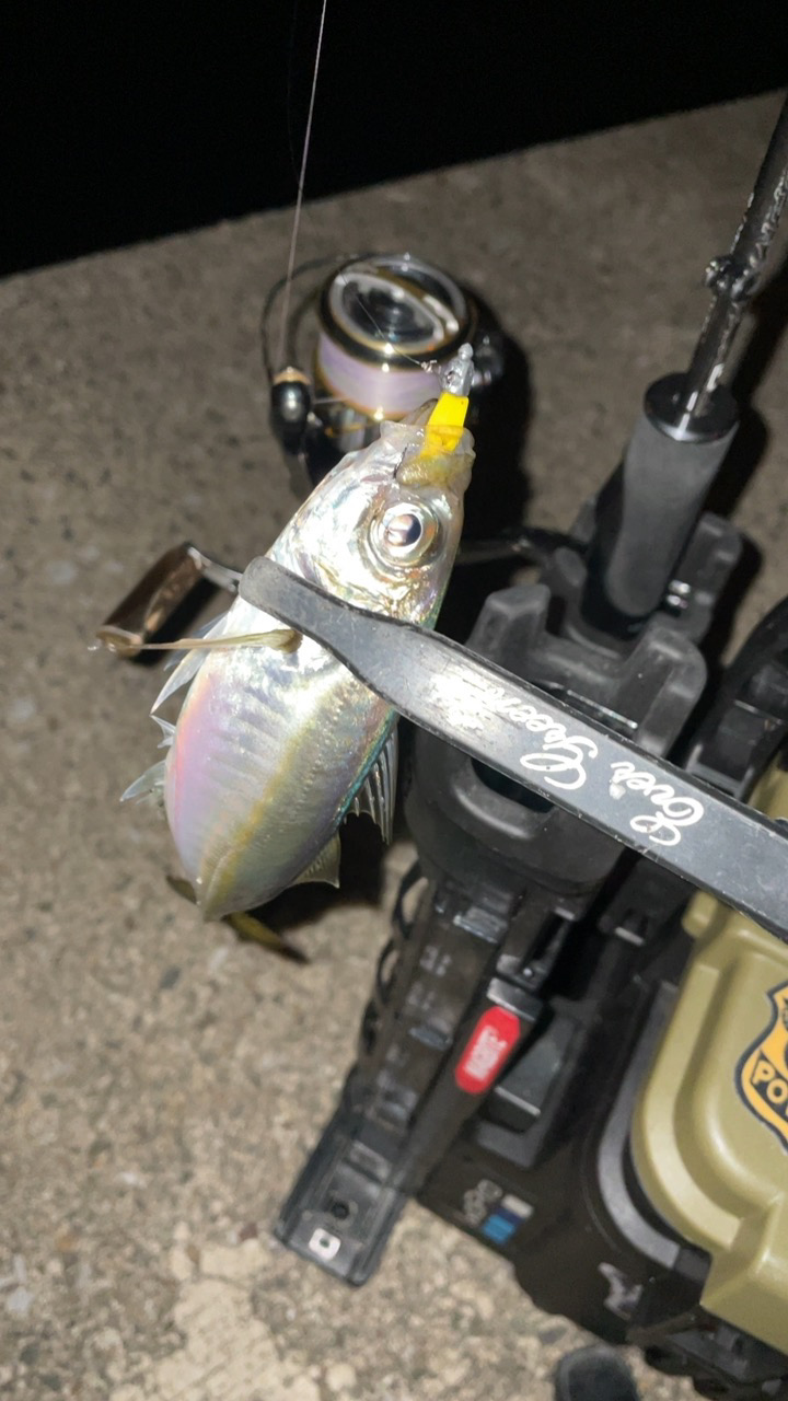 爆風メバリング