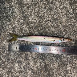 アジング良い感じ