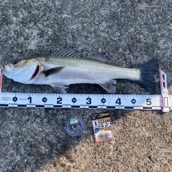 DAY1 南港のつり