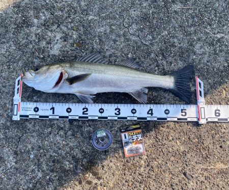 DAY1 南港のつり