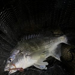 約２ヶ月ぶりに！