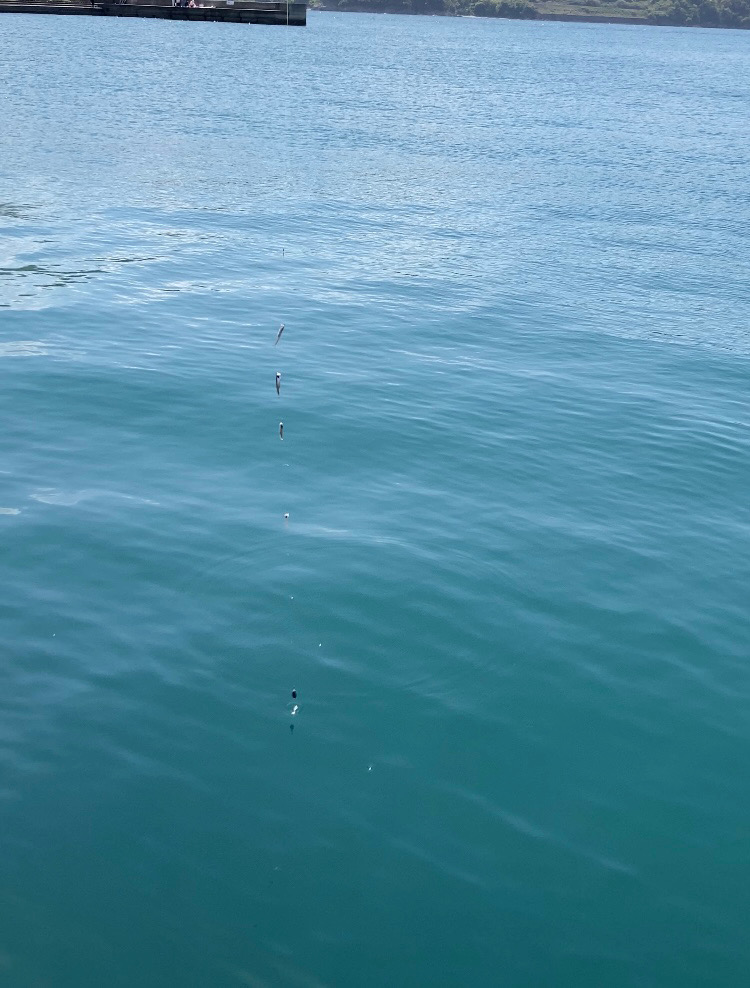 負の条件揃い踏み