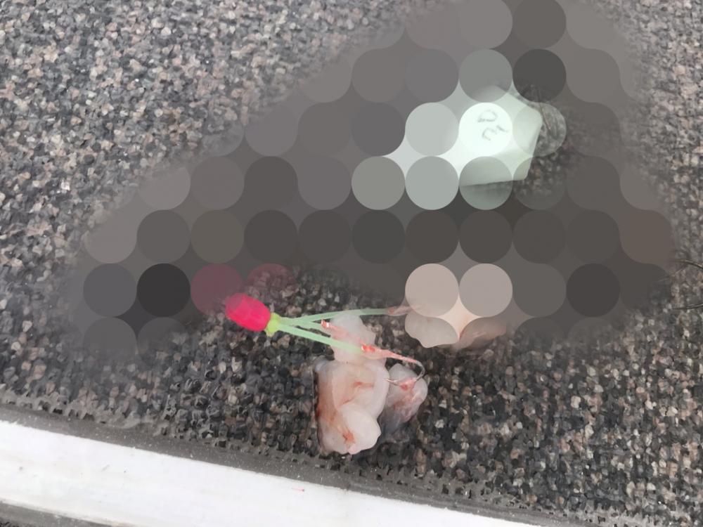 超爆！室津のカットウ