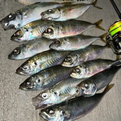 久々にマリーナシティへ