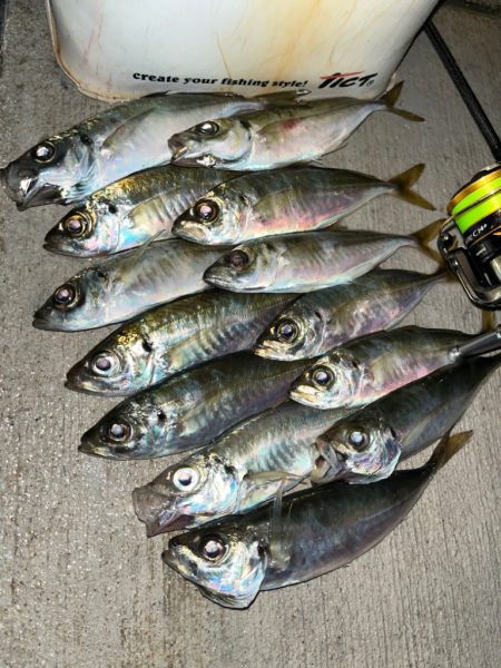 久々にマリーナシティへ