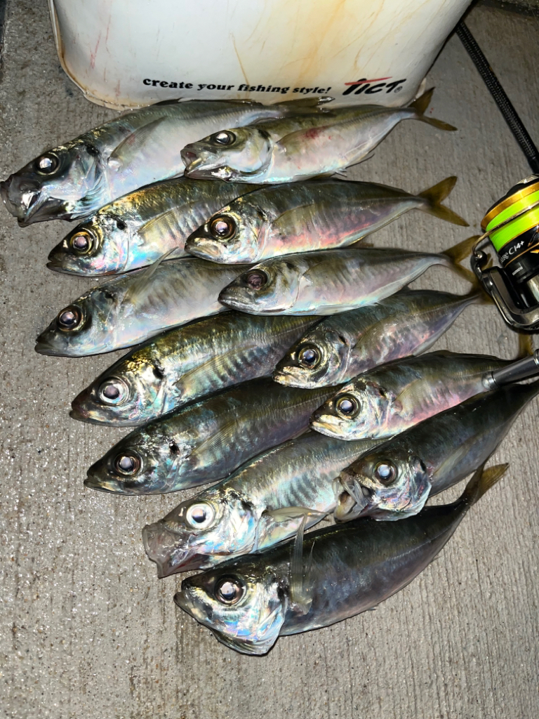 久々にマリーナシティへ