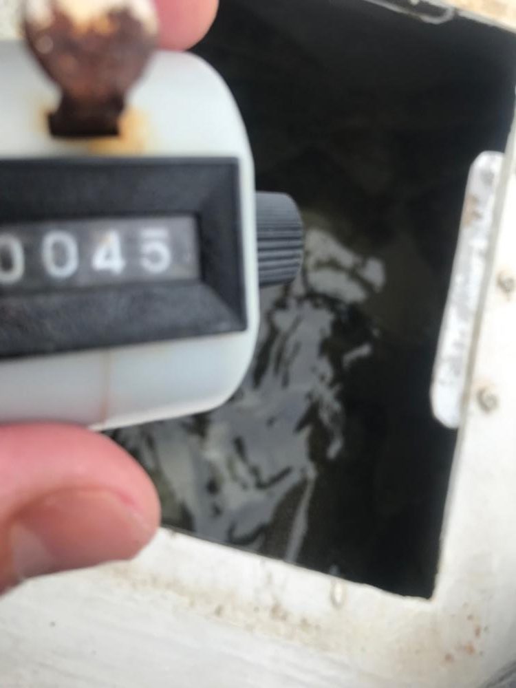 室津カットウ釣り