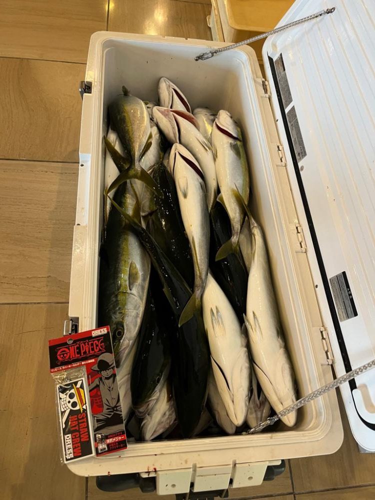 ボートキャスティング