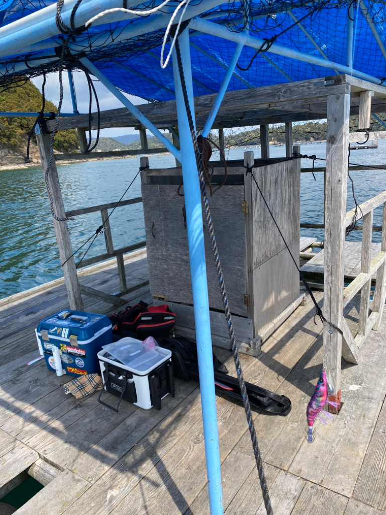 イカゲーム開幕!