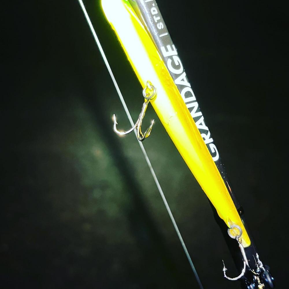 バチ抜けシーバス