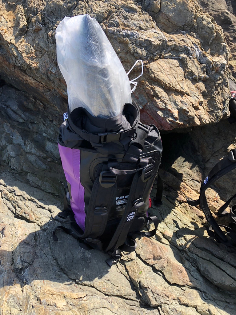 根に巻かれながらもなんとかかんとか