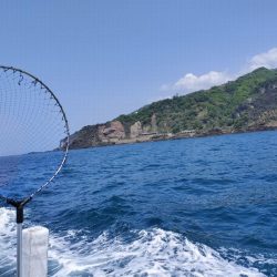 乗っ込みマダイに挑む！