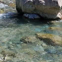 揖保川支流、絶好調！