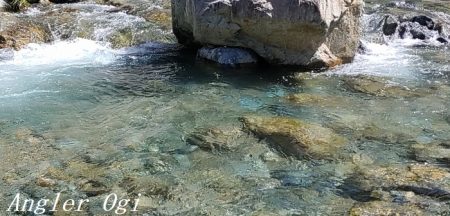 揖保川支流、絶好調！