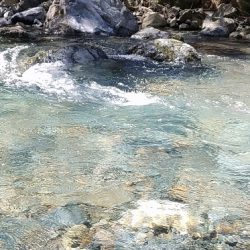 雨後はやっぱり高活性!