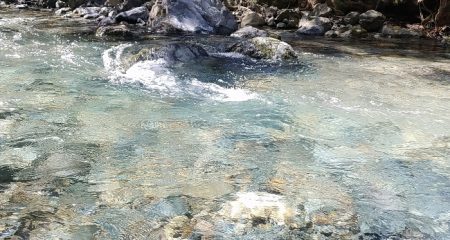 雨後はやっぱり高活性!