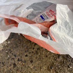 清掃活動：メバリングその2