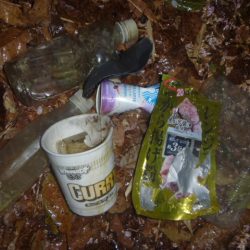 清掃活動：桜散る春のバス